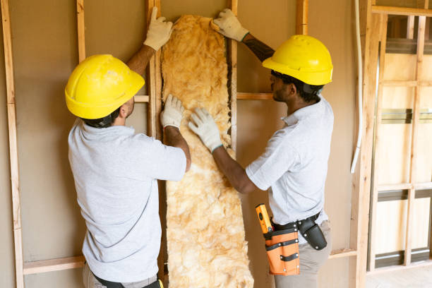 Eco-Friendly or Green Insulation Solutions in Huntington Woods, MI